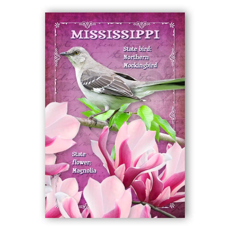 Postcard Fair MISSISSIPPI BIRD AND FLOWER postcard set of 20 identical postcards. MS state symbols post cards. Made in USA. - Image 1